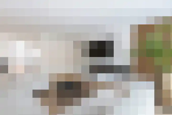 Kombuis 12 Papendrecht thumbnail 6