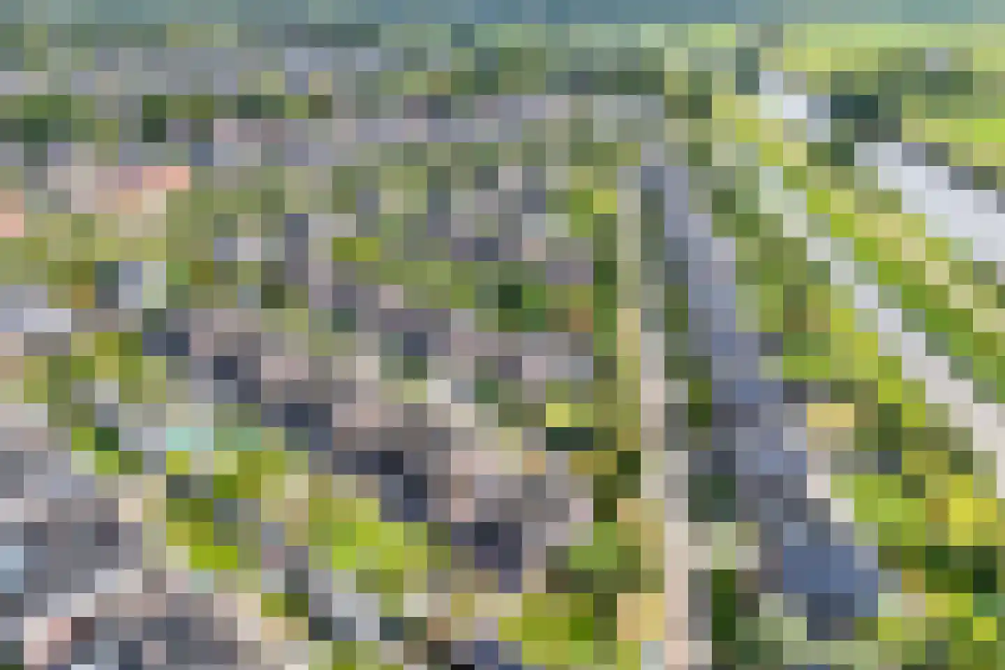 Kombuis 13 Meppel thumbnail 45