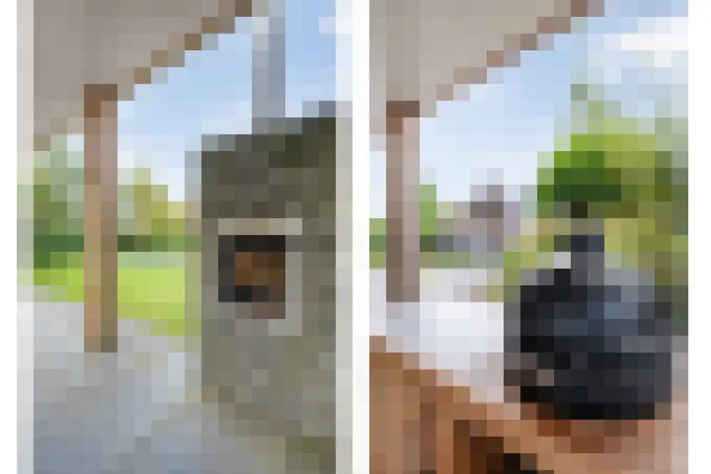 Kombuis 13 Meppel thumbnail 6