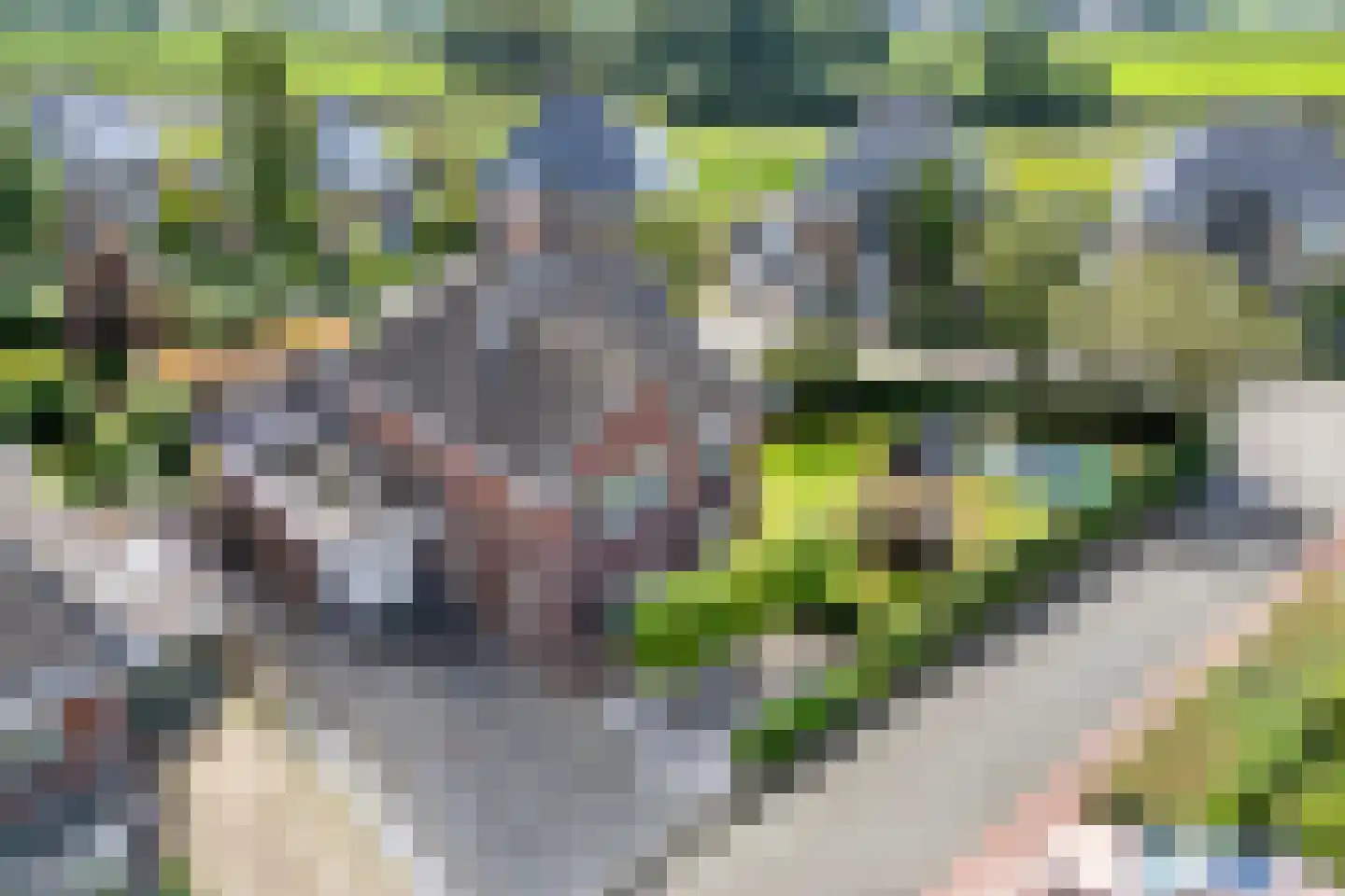 Kombuis 13 Meppel thumbnail 8