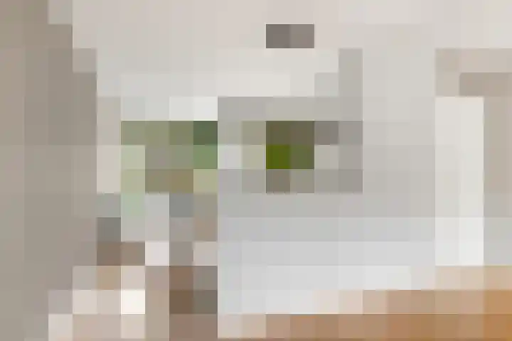 Kombuis 141 Nijkerk thumbnail 13