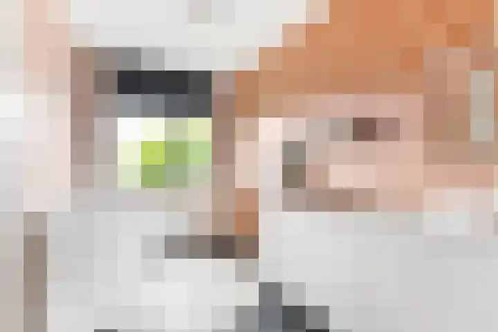 Kombuis 141 Nijkerk thumbnail 22