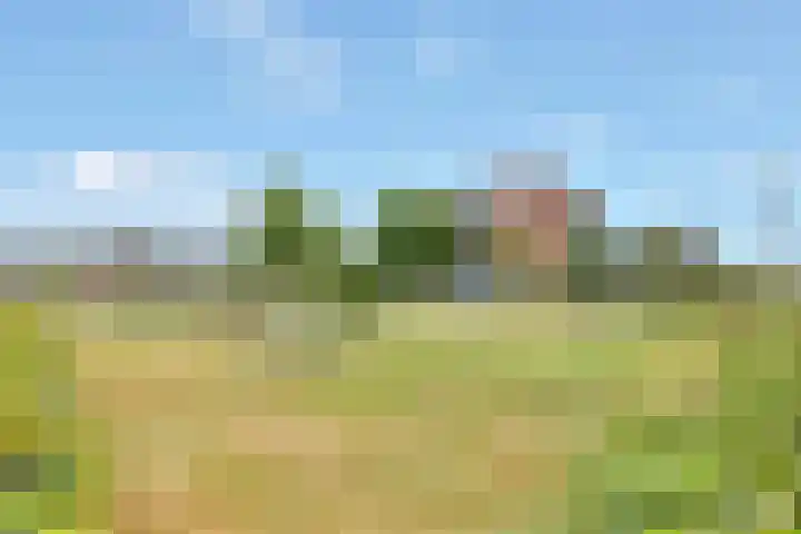 Kombuis 141 Nijkerk thumbnail 30