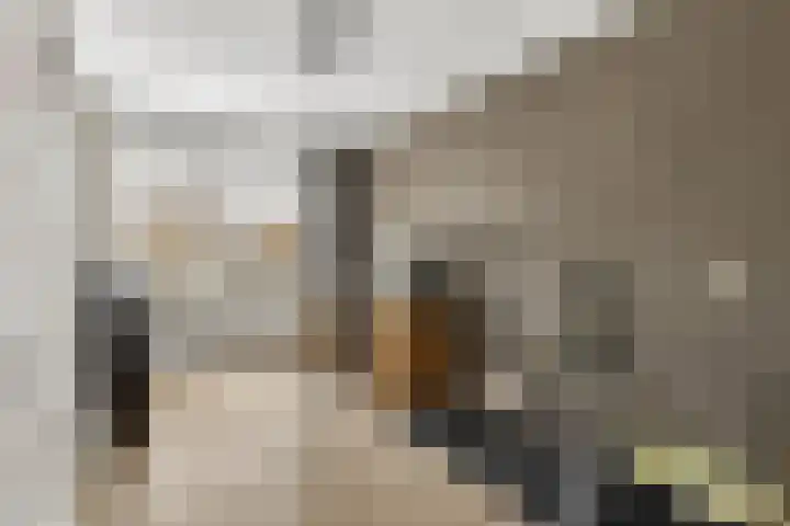 Kombuis 20 Nijkerk thumbnail 15