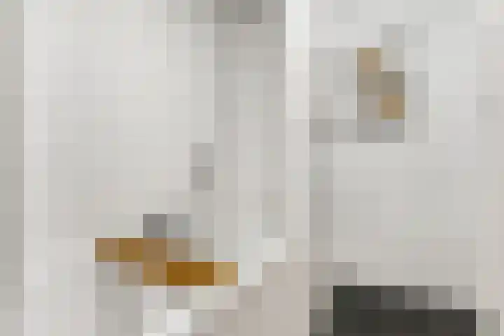 Kombuis 20 Nijkerk thumbnail 21