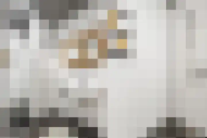 Kombuis 20 Nijkerk thumbnail 22
