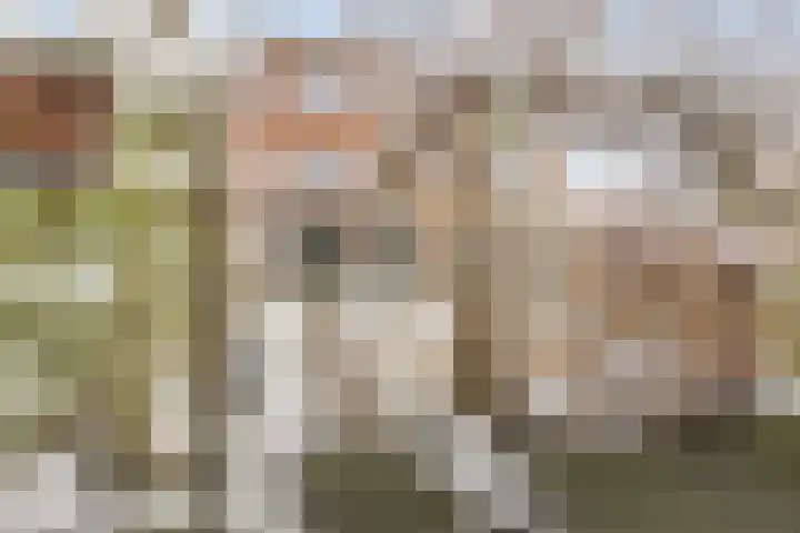 Kombuis 20 Nijkerk thumbnail 31