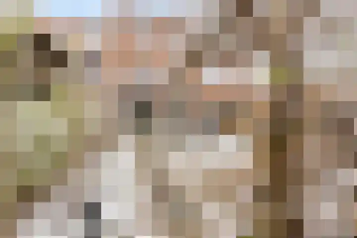 Kombuis 20 Nijkerk thumbnail 5