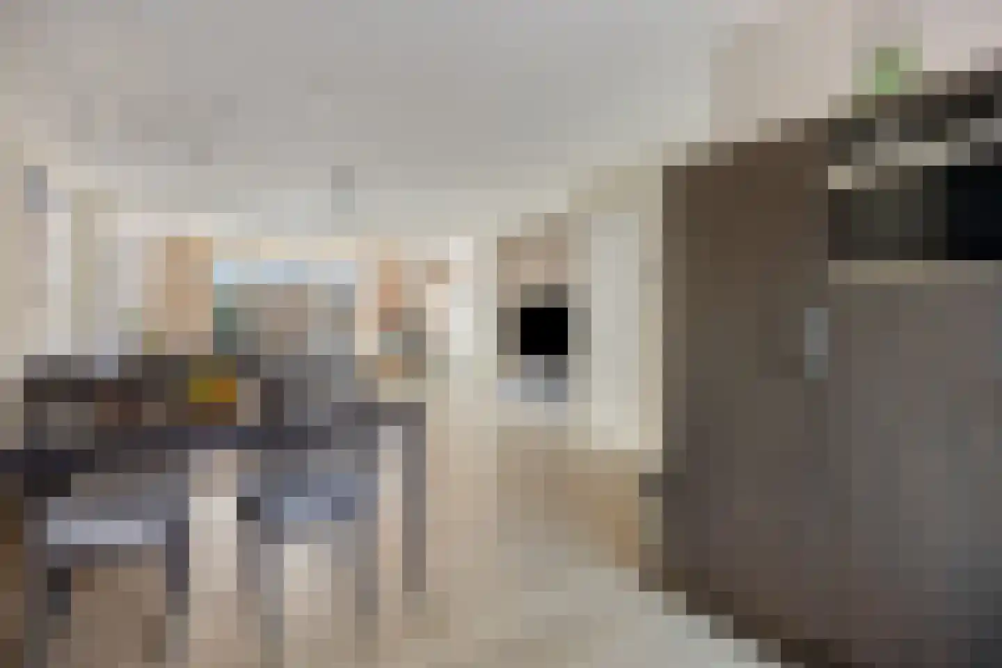 Kombuis 8 Amstelveen thumbnail 7