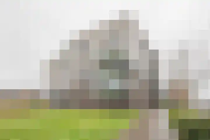 Kombuis 93 Nijkerk thumbnail 31