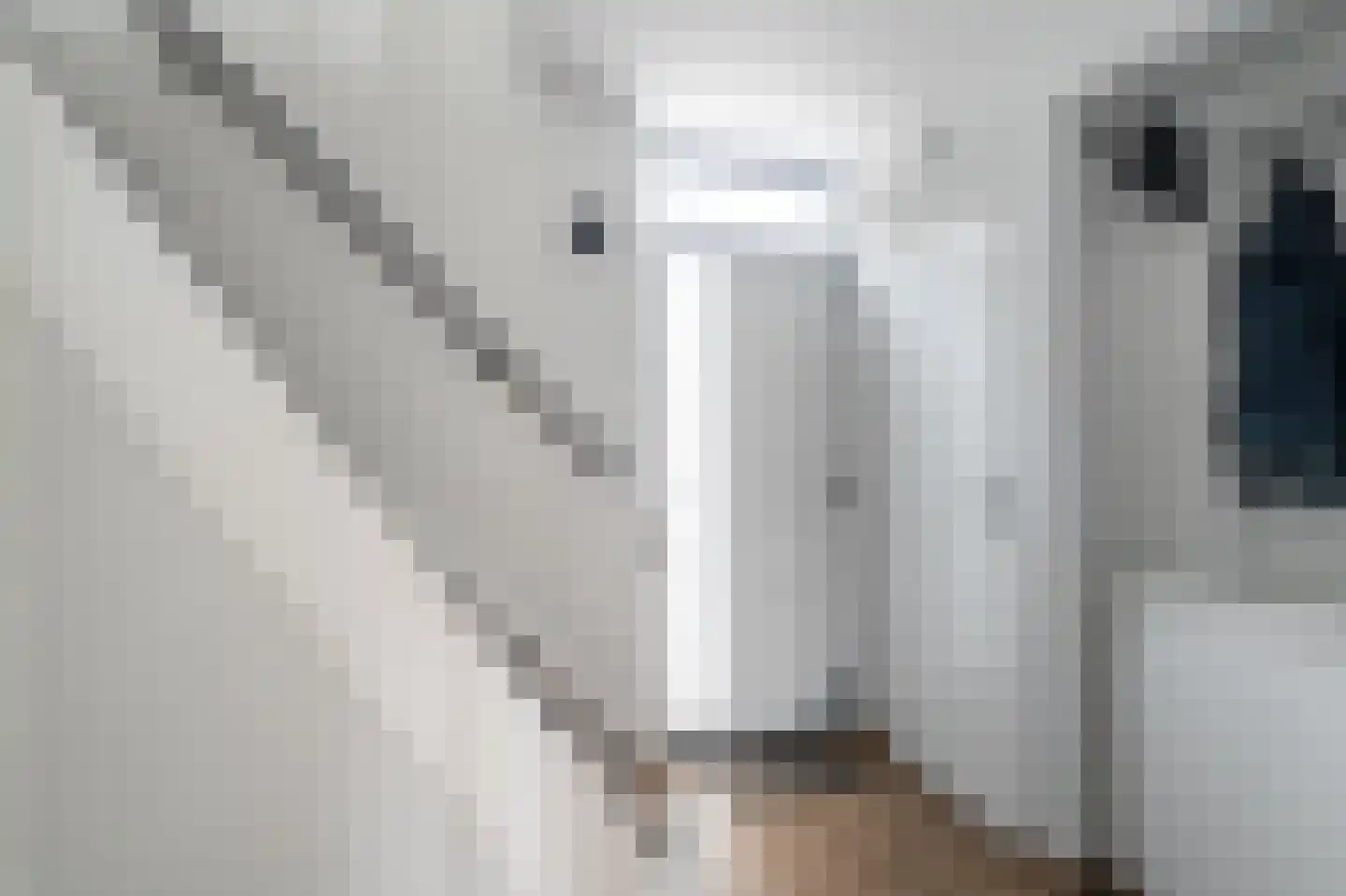 Kombuisstraat 11 Dronten thumbnail 17