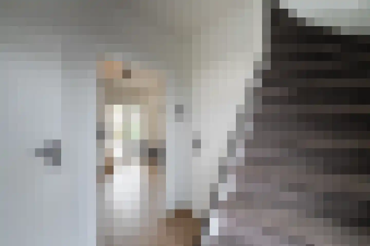 Kombuisstraat 11 Dronten thumbnail 6