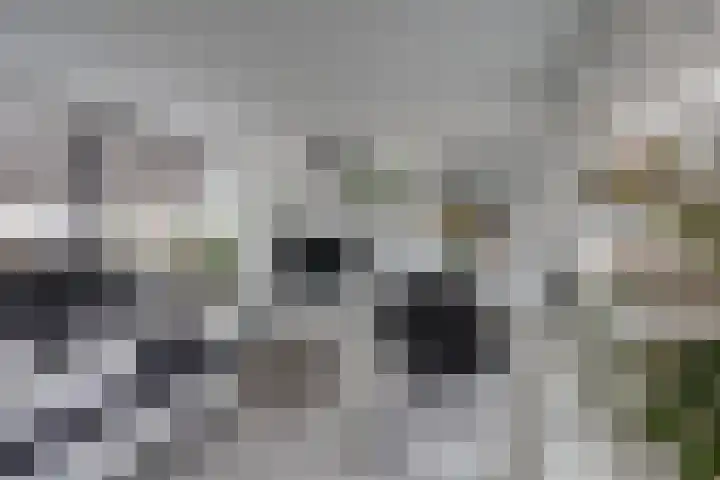 Kombuisstraat 32 Dronten thumbnail 10
