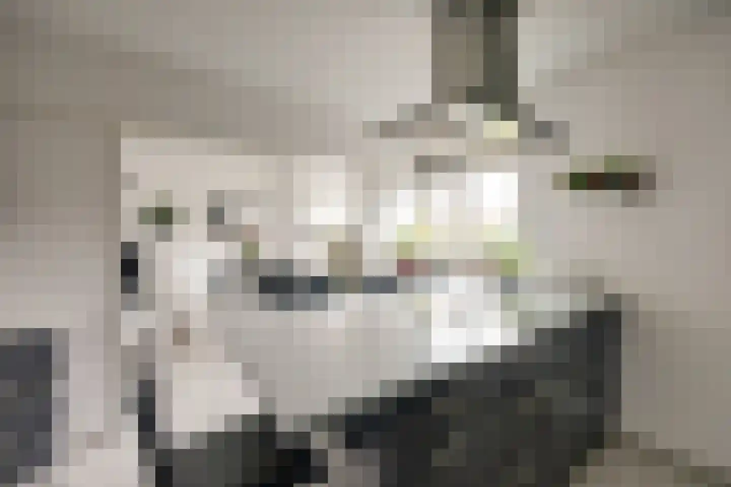 Kombuisstraat 32 Dronten thumbnail 13