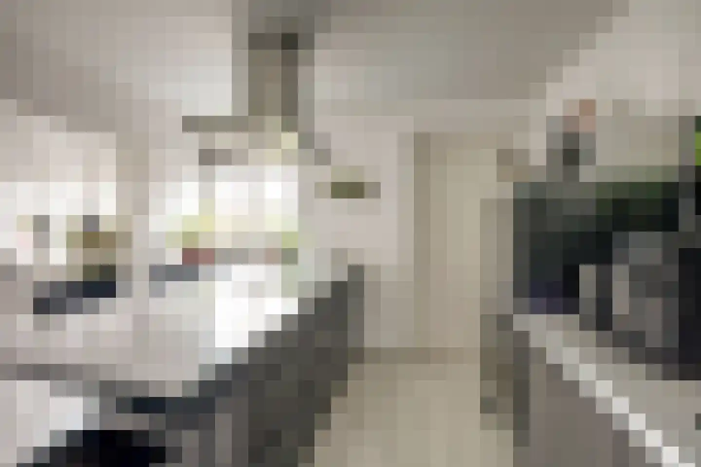 Kombuisstraat 32 Dronten thumbnail 14