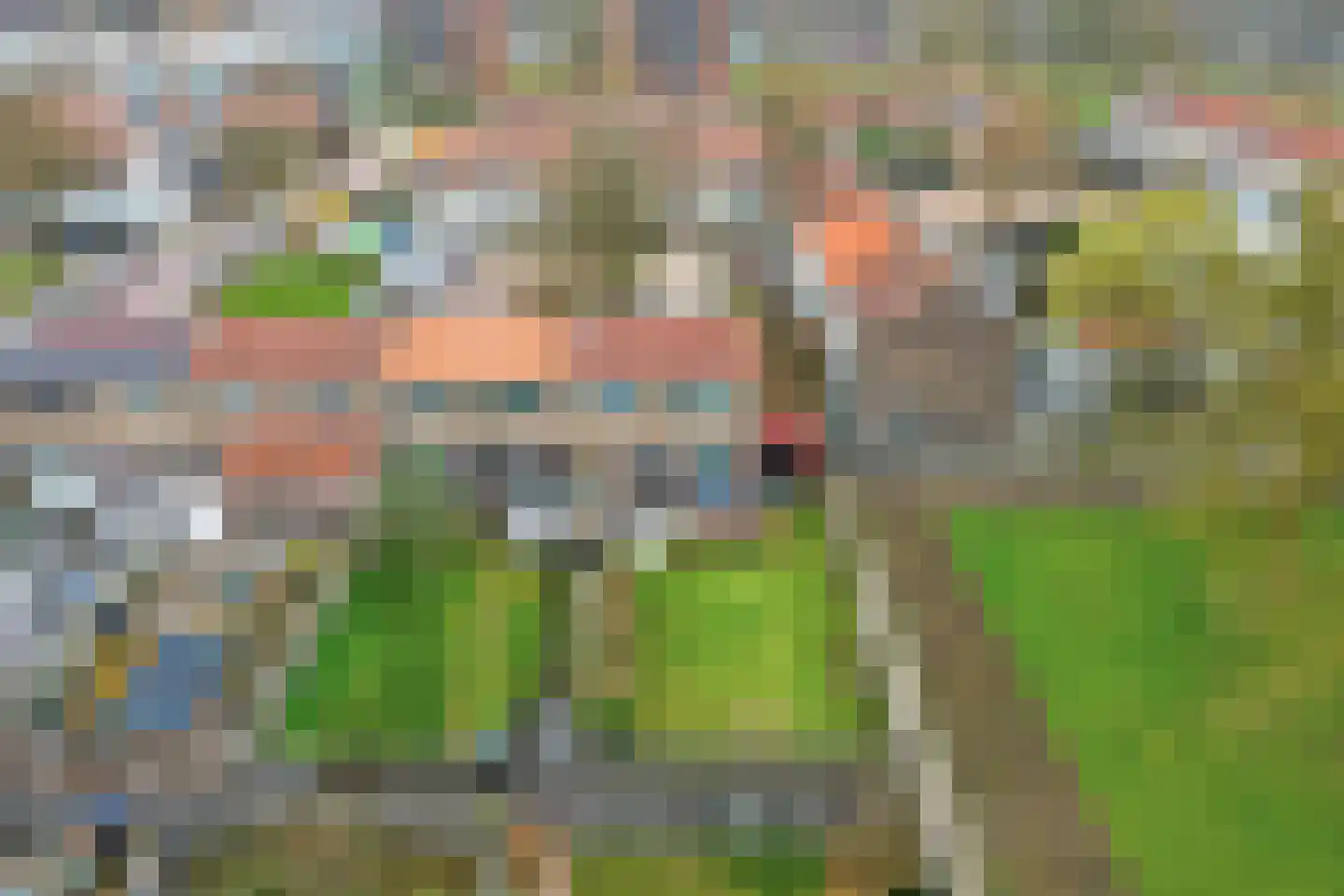 Kombuisstraat 32 Dronten thumbnail 30