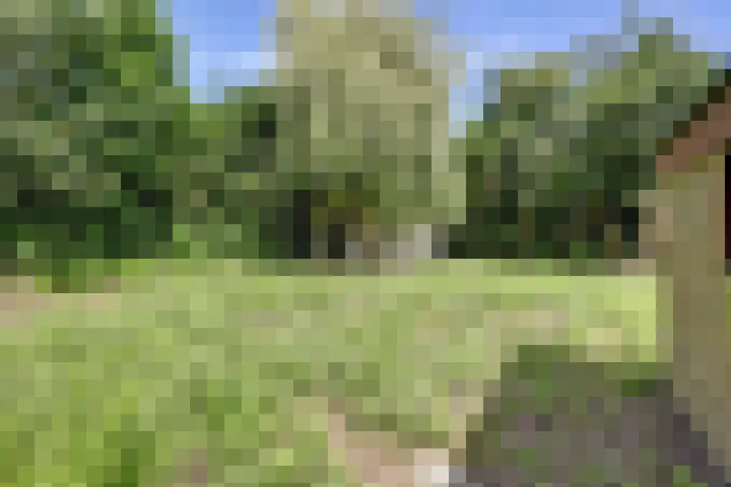 Kombuisstraat 9 Dronten thumbnail 27