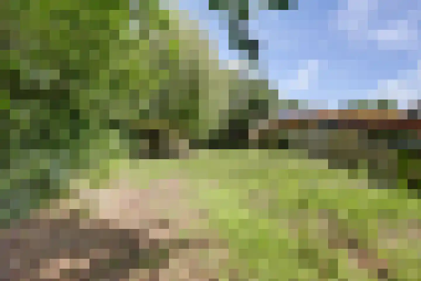 Kombuisstraat 9 Dronten thumbnail 29