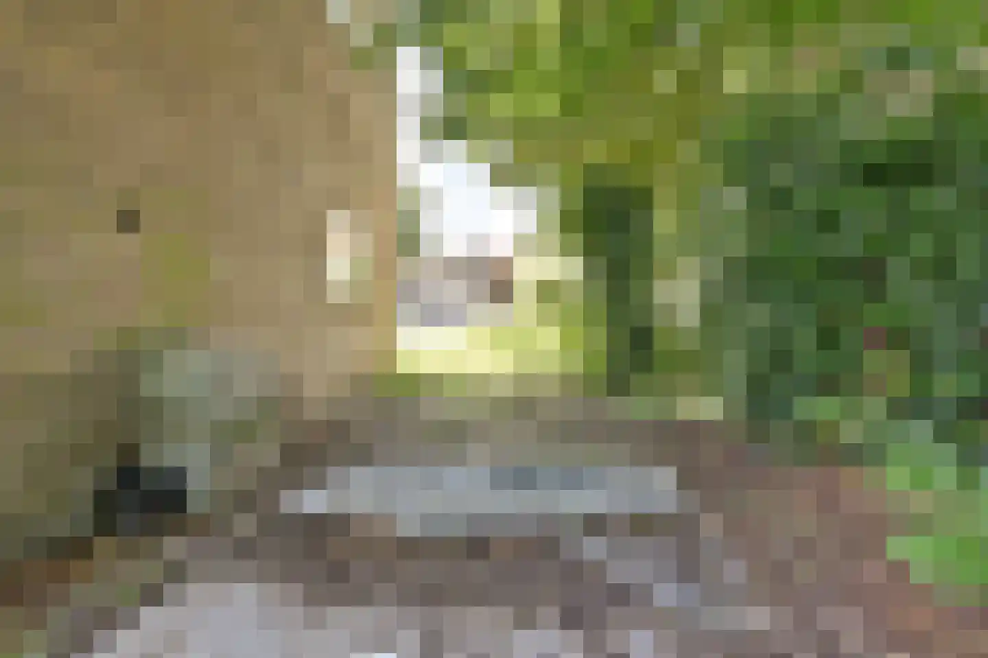 Kombuisstraat 9 Dronten thumbnail 31