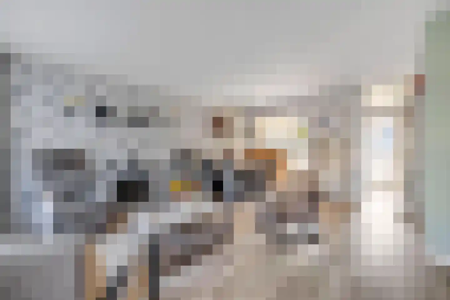 Komeet 18 Hellevoetsluis thumbnail 12