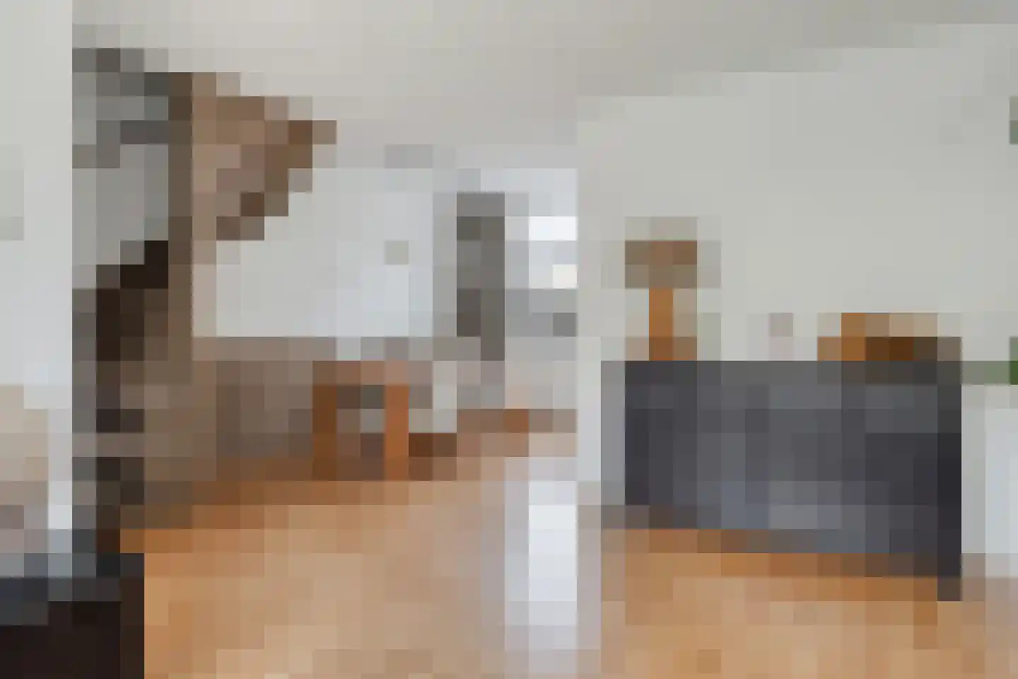 Komeet 21 Hoogezand thumbnail 10