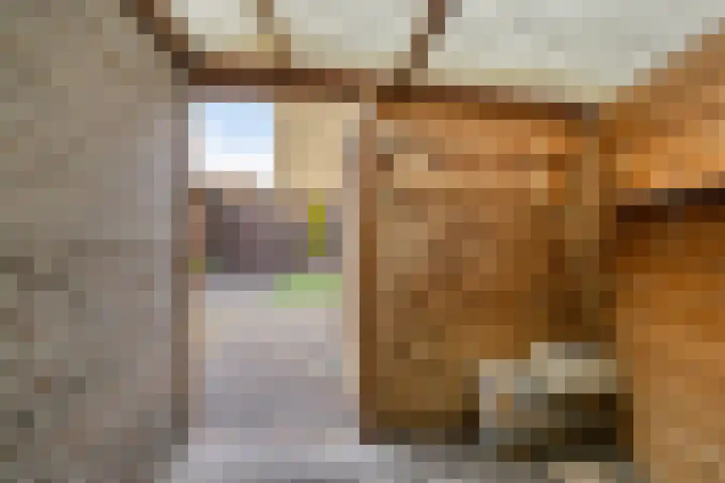 Komeet 21 Hoogezand thumbnail 48