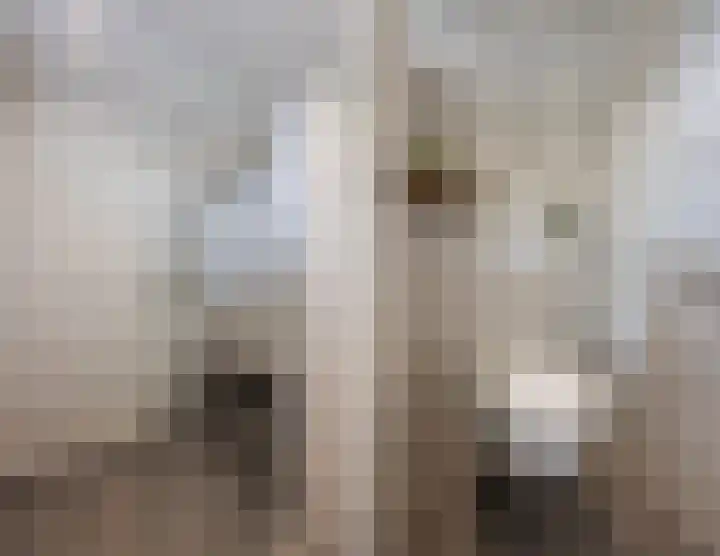 Komeet 23 Hellevoetsluis thumbnail 21