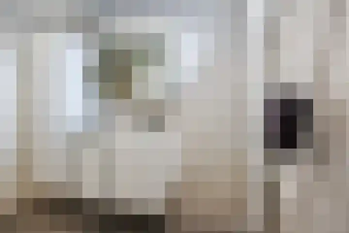 Komeet 23 Hellevoetsluis thumbnail 22