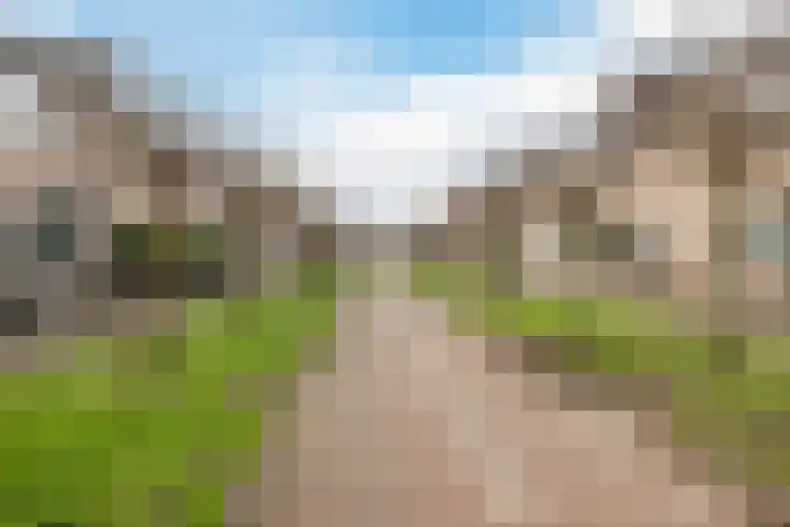 Komeet 23 Hellevoetsluis thumbnail 37