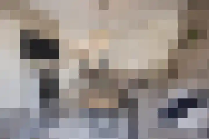 Komeet 23 Hellevoetsluis thumbnail 4