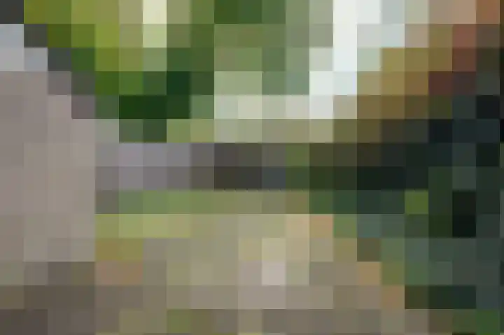Komeet 36 Hoogezand thumbnail 6