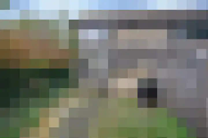 Komeet 36 Hoogezand thumbnail 7
