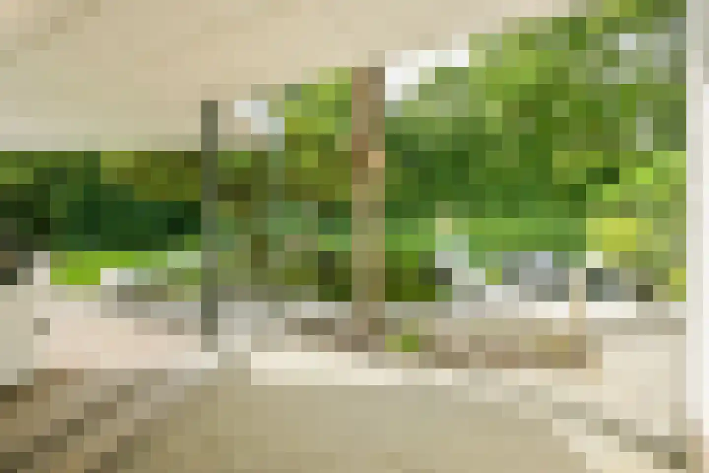 Komeetlaan 17 Sittard thumbnail 58