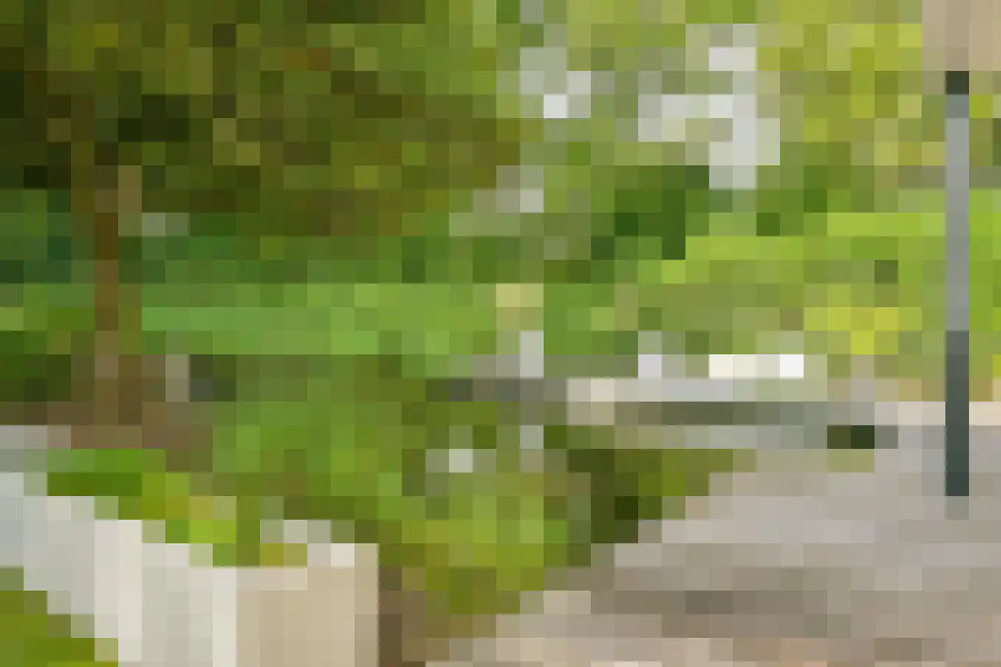 Komeetlaan 17 Sittard thumbnail 8