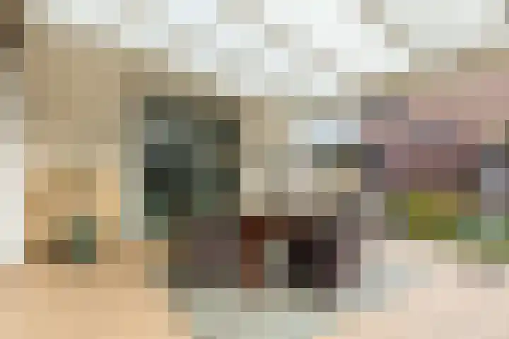 Komeetlaan 40 Sittard thumbnail 20