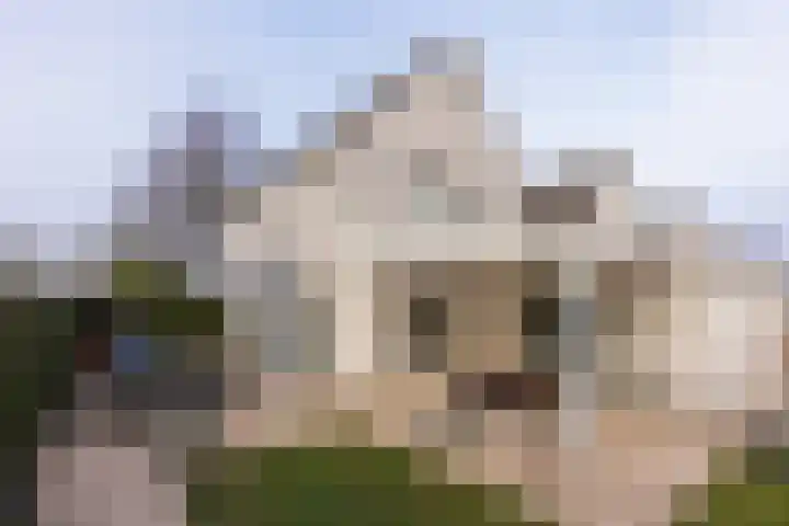 Komeetlaan 40 Sittard thumbnail 29