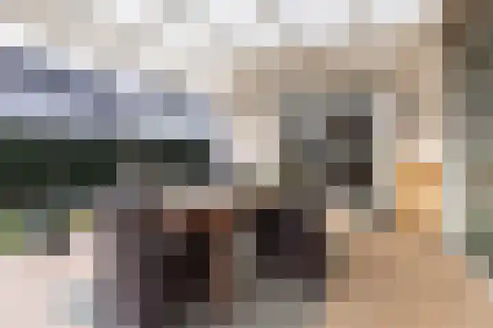 Komeetlaan 40 Sittard thumbnail 30