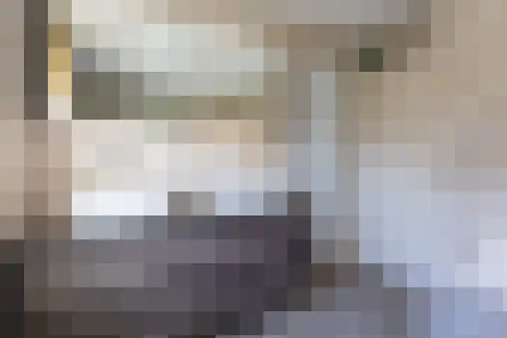 Komeetlaan 40 Sittard thumbnail 39