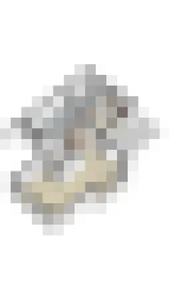 Komeetlaan 40 Sittard thumbnail 47