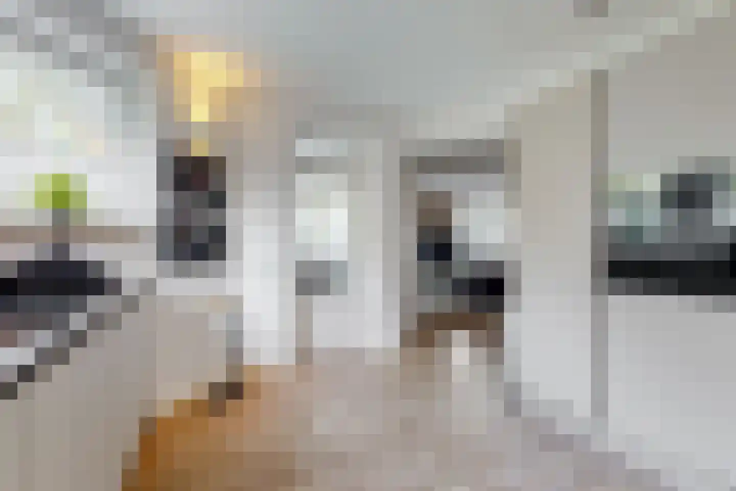Komeetlaan 5 Sittard thumbnail 14