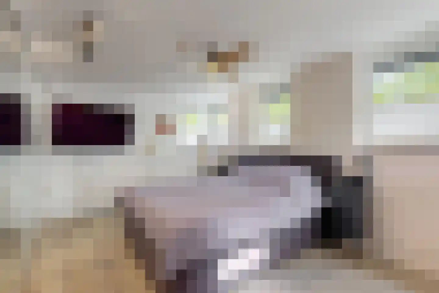 Komeetlaan 5 Sittard thumbnail 16