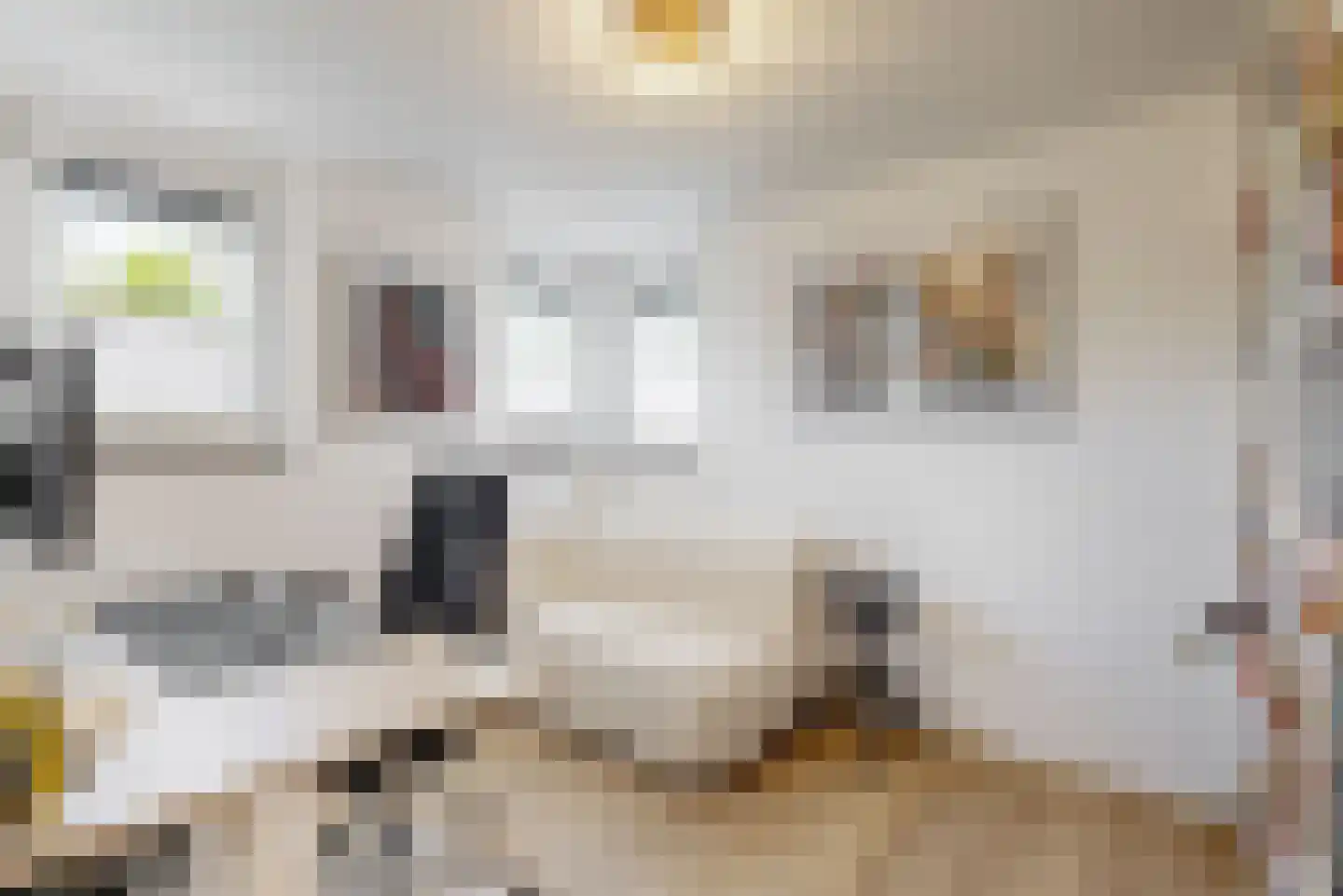 Komeetlaan 5 Sittard thumbnail 18