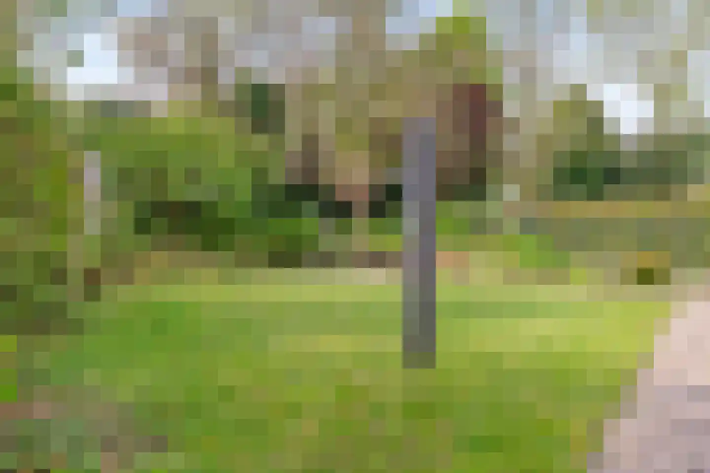 Komeetlaan 5 Sittard thumbnail 28