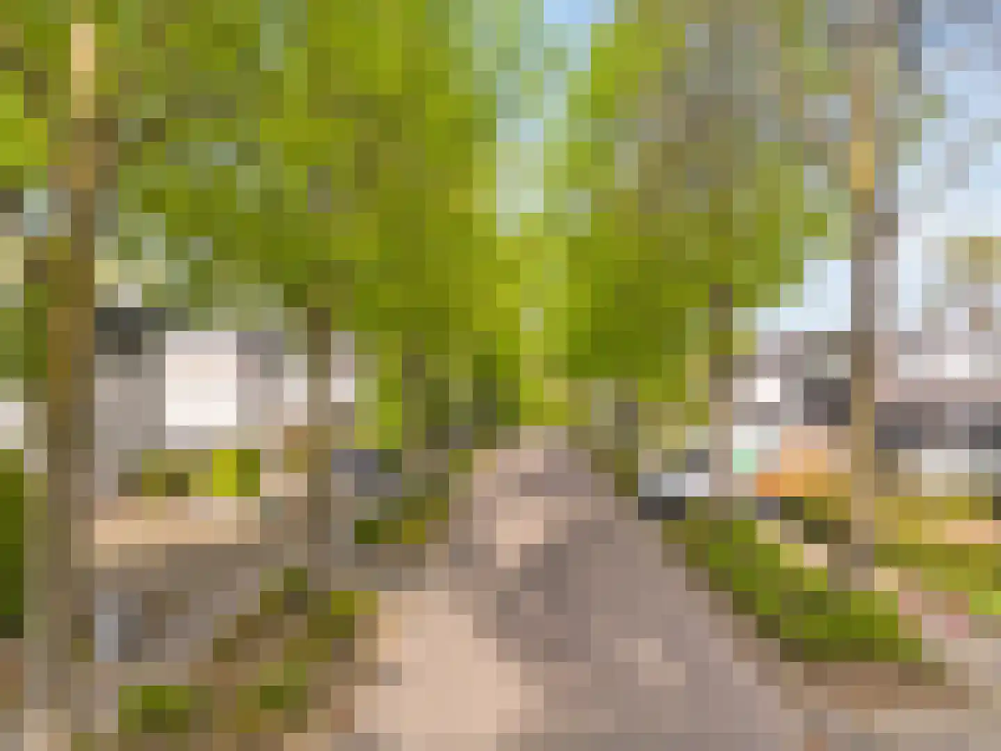 Komeetlaan 5 Sittard thumbnail 32