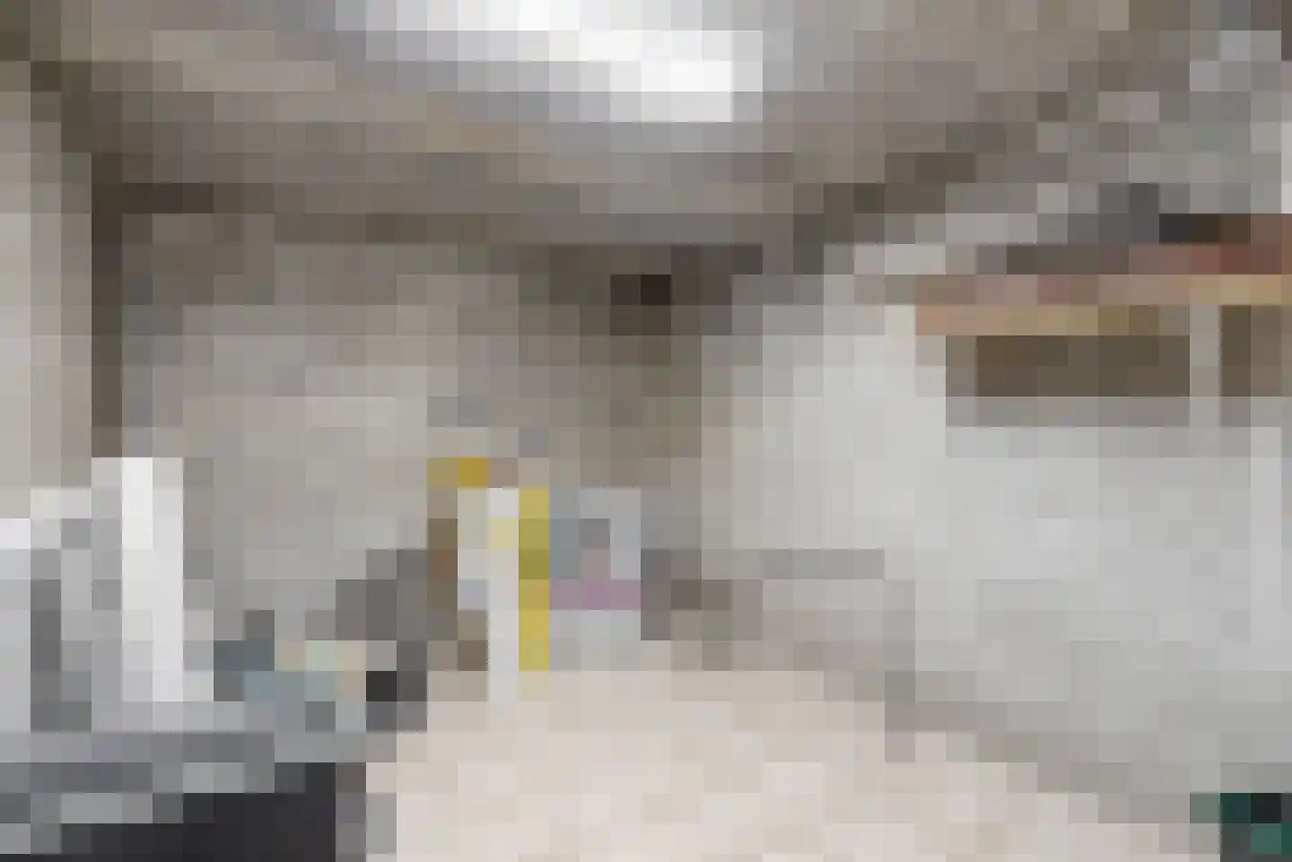 Komeetlaan 5 Sittard thumbnail 35