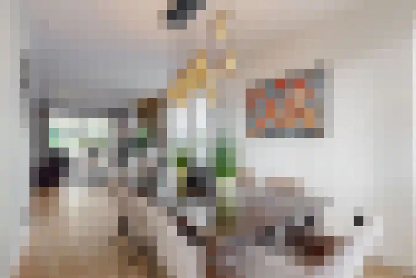 Komeetlaan 5 Sittard thumbnail 7