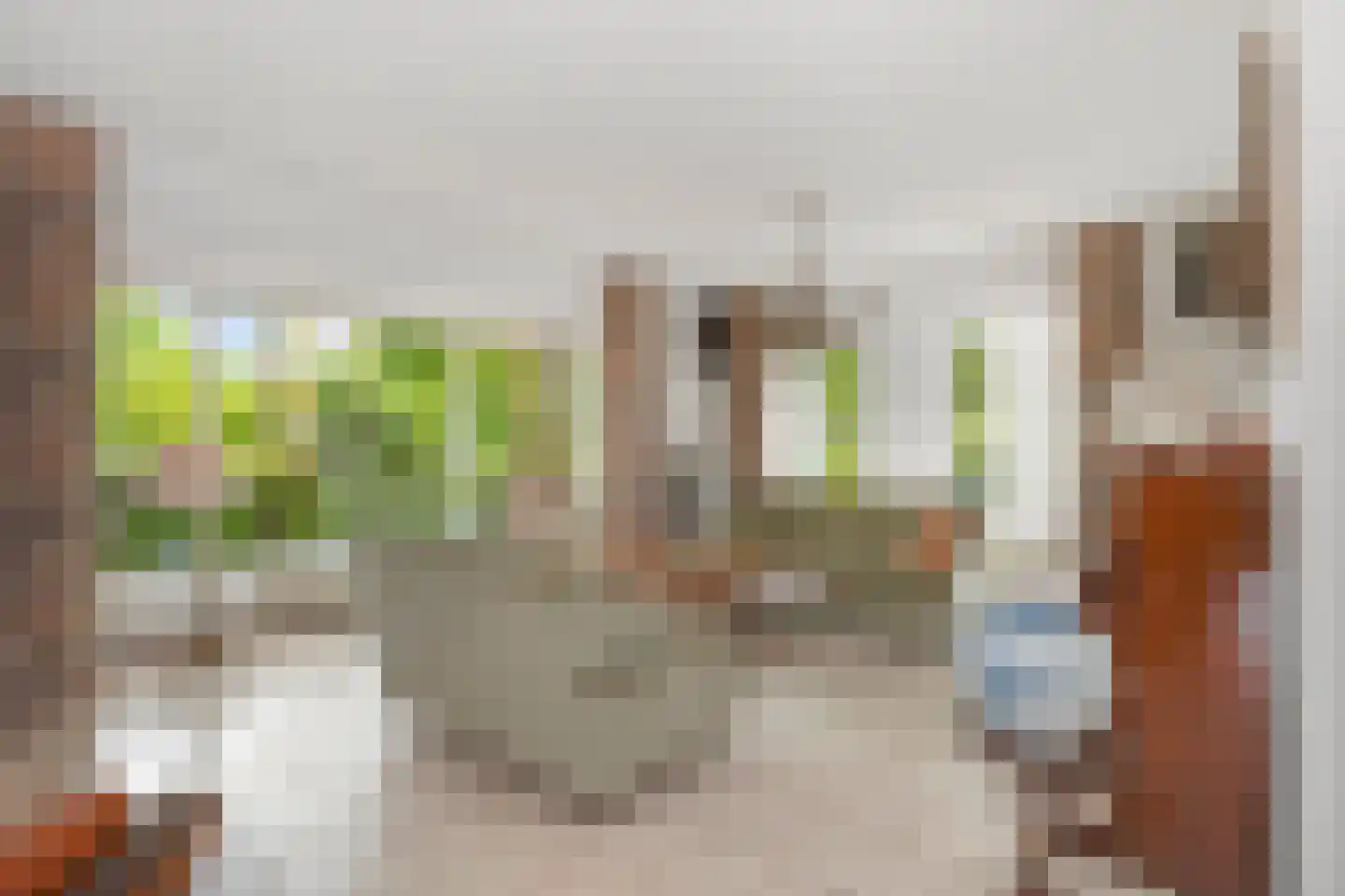 Komeetlaan 62 Sittard thumbnail 16
