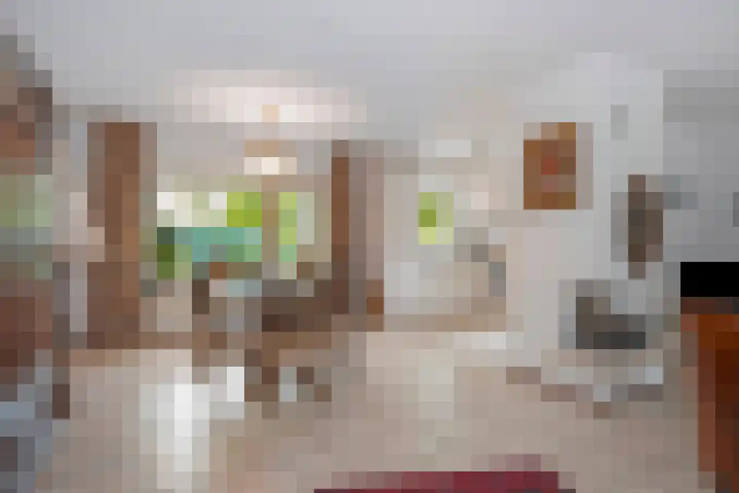 Komeetlaan 62 Sittard thumbnail 19