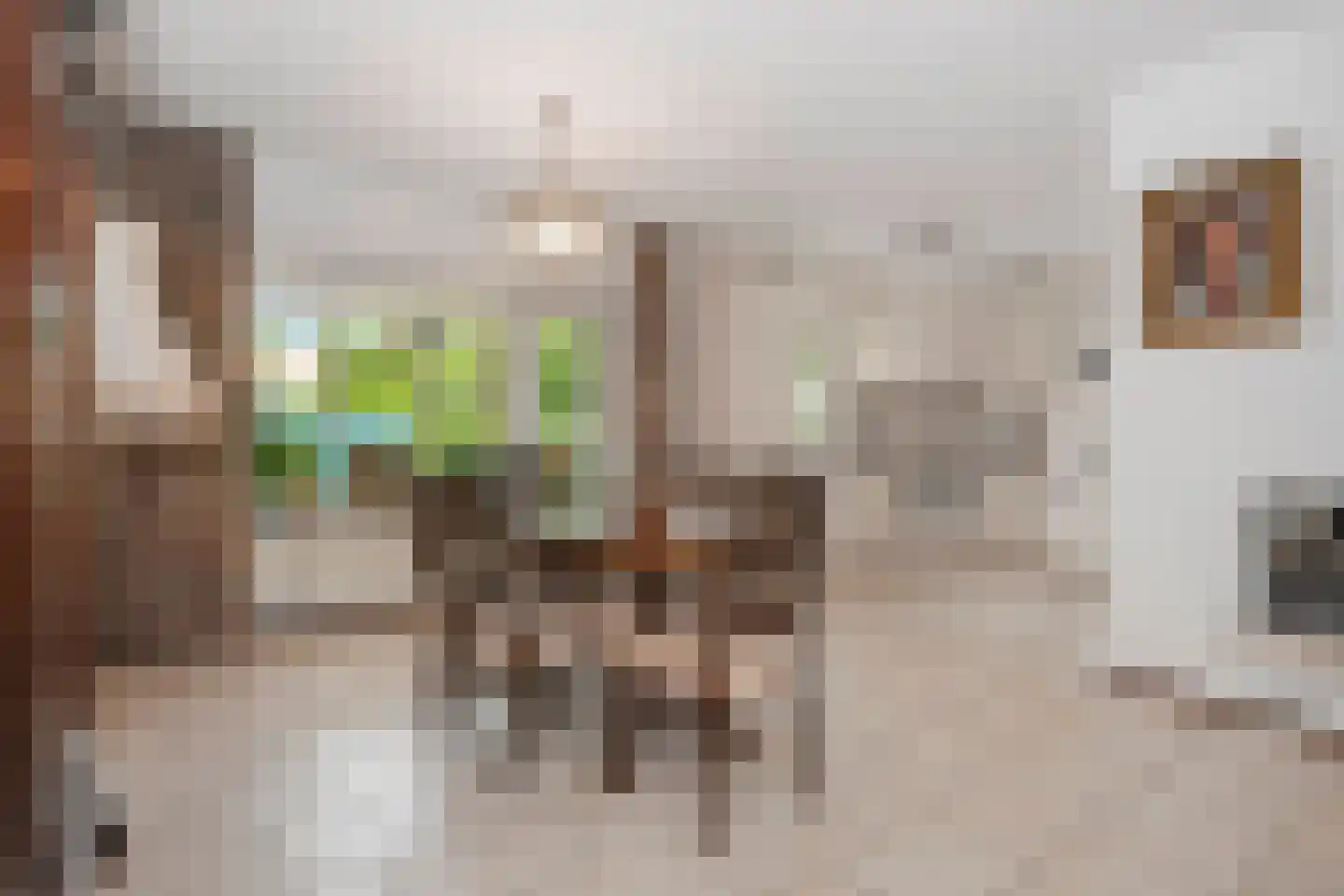 Komeetlaan 62 Sittard thumbnail 21