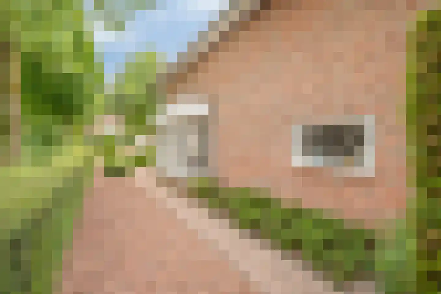 Komeetlaan 62 Sittard thumbnail 32
